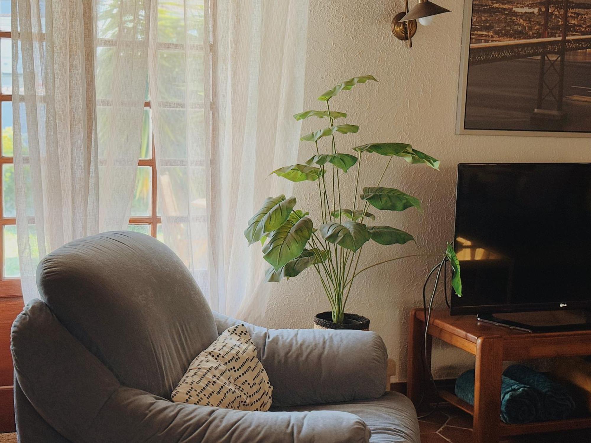 Coastal Garden Paradise Retreat- 6 Min From The Beach ชาร์เนกา ภายนอก รูปภาพ